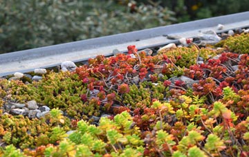 the cost of Morley St Botolph green roof installation