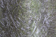 Morley St Botolph fibreglass roof work